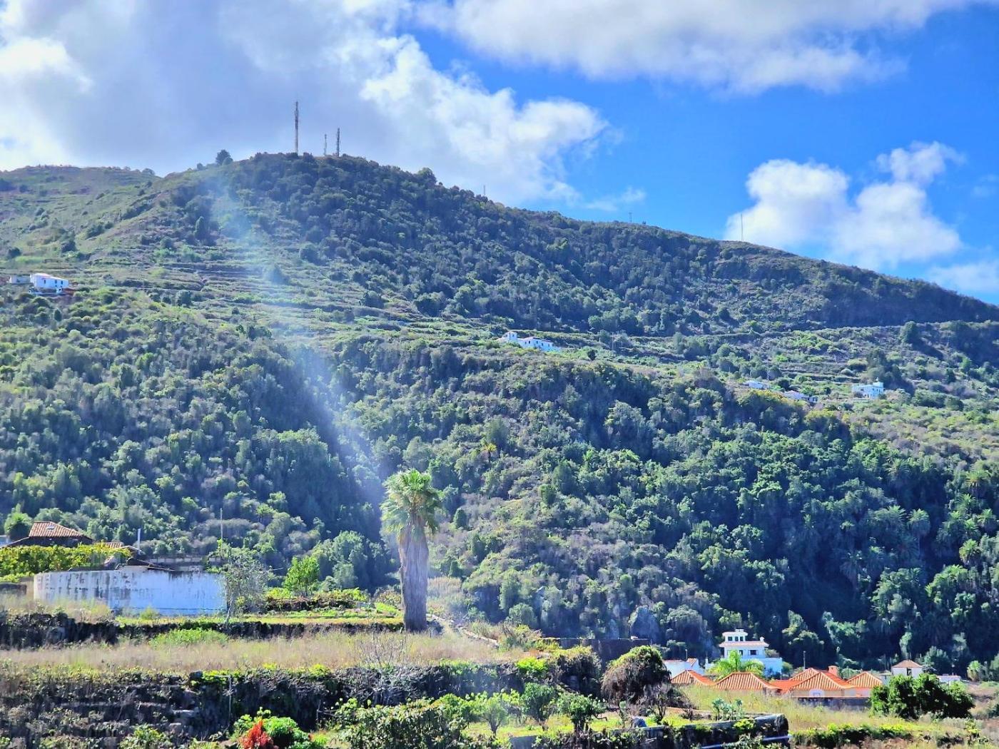 Cozy House Casa De Los Abuelos In Icod De Los Vinos By Hrtenerife Net Ngoại thất bức ảnh