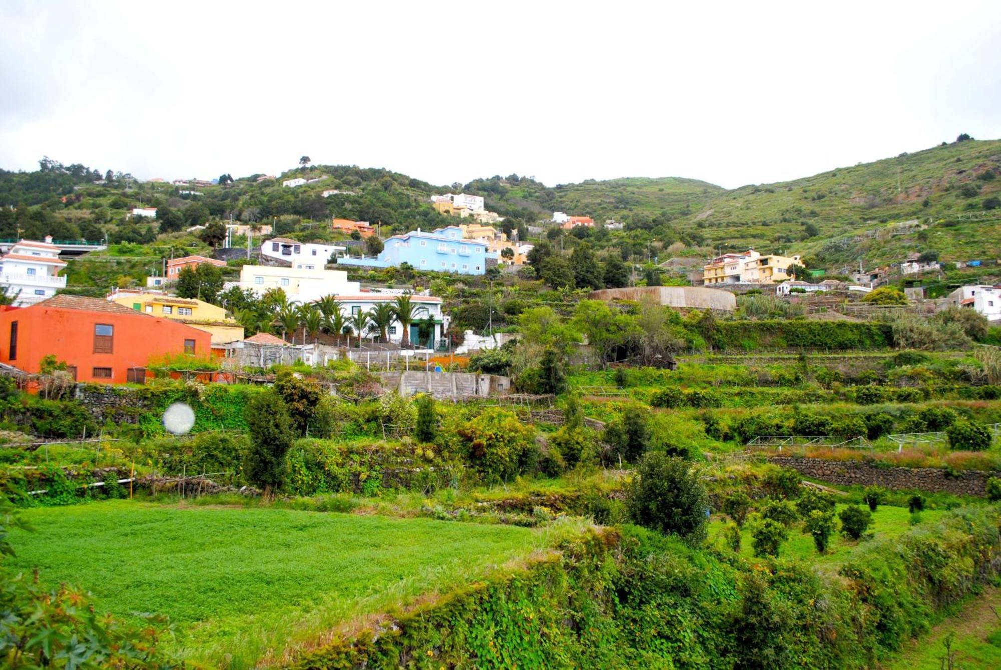 Cozy House Casa De Los Abuelos In Icod De Los Vinos By Hrtenerife Net Ngoại thất bức ảnh