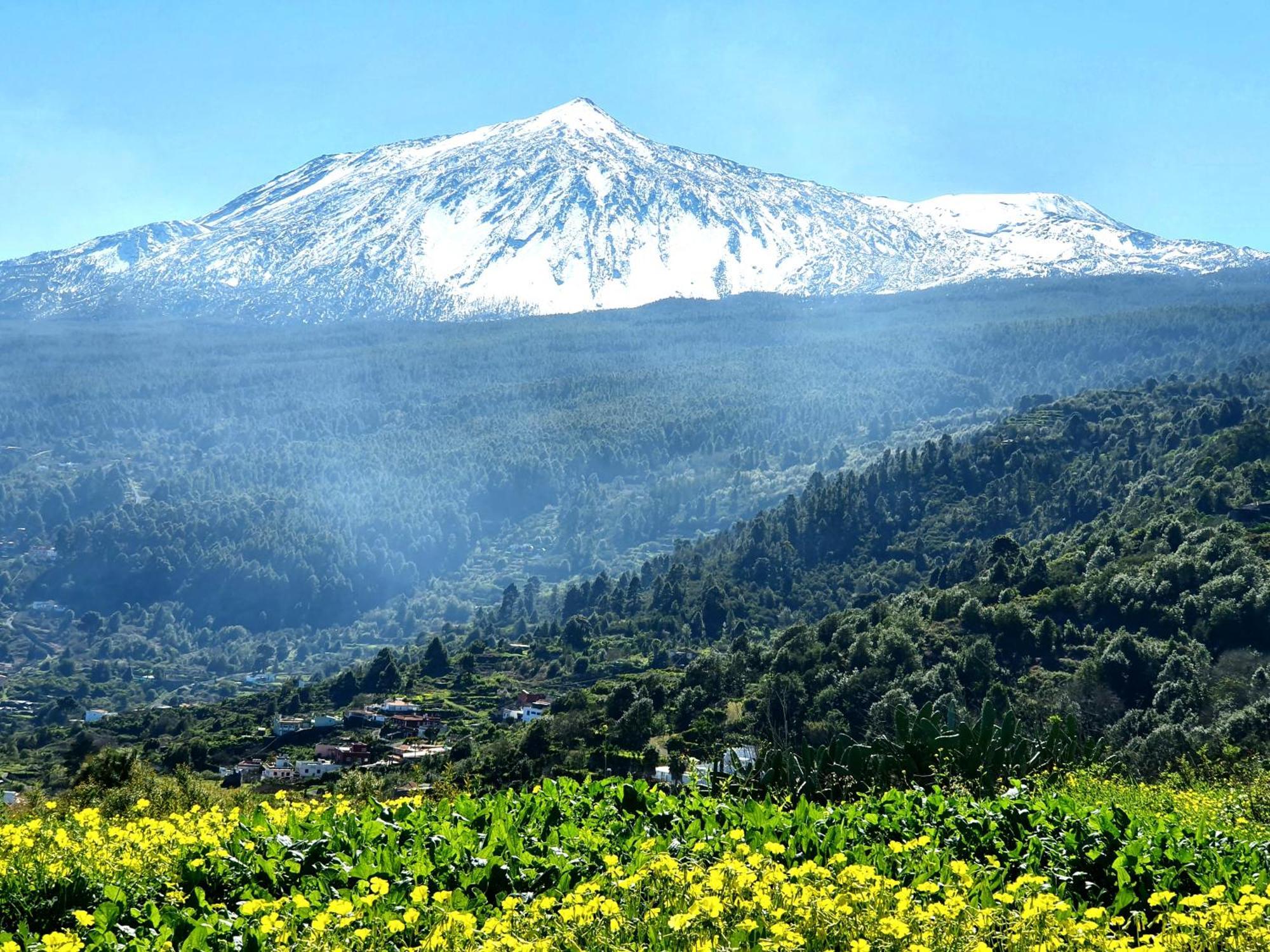 Cozy House Casa De Los Abuelos In Icod De Los Vinos By Hrtenerife Net Ngoại thất bức ảnh