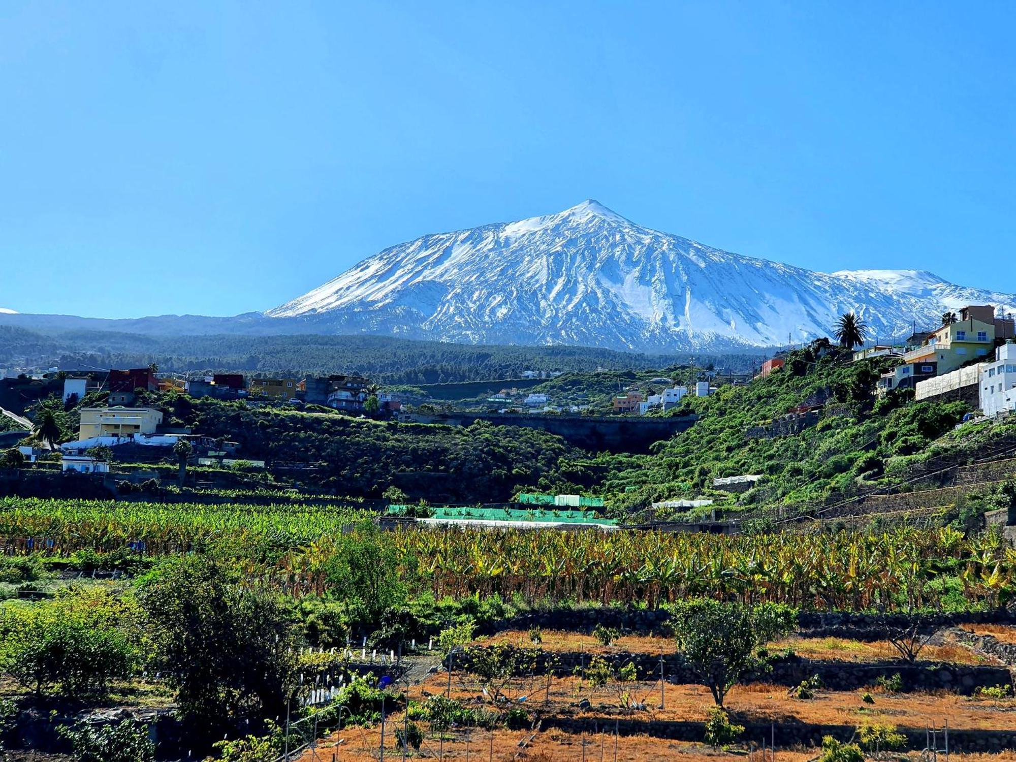 Cozy House Casa De Los Abuelos In Icod De Los Vinos By Hrtenerife Net Ngoại thất bức ảnh